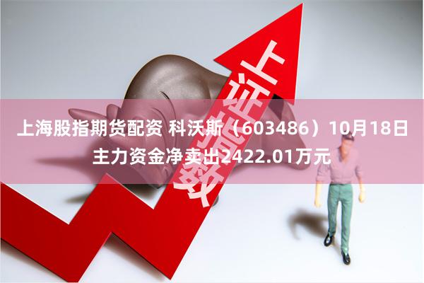 上海股指期货配资 科沃斯（603486）10月18日主力资金净卖出2422.01万元