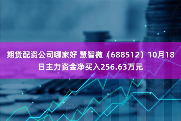 期货配资公司哪家好 慧智微（688512）10月18日主力资金净买入256.63万元