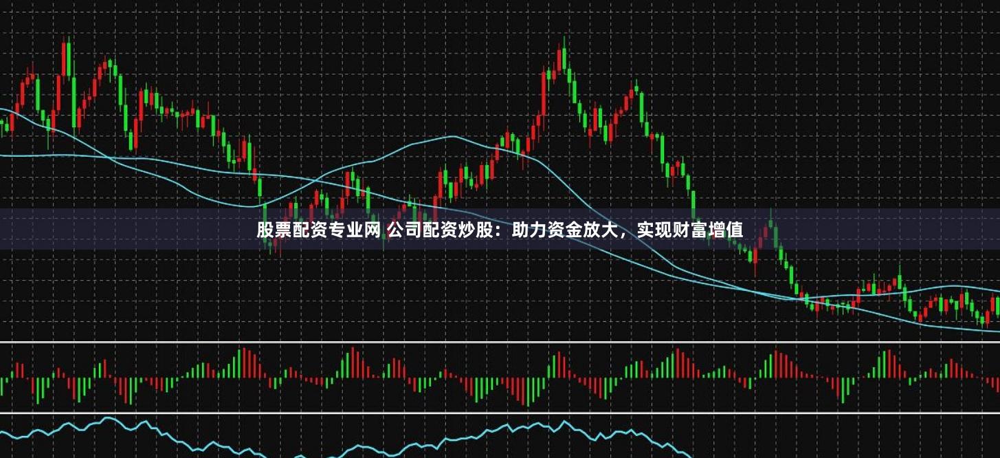 股票配资专业网 公司配资炒股：助力资金放大，实现财富增值